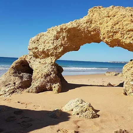 Beach Choro * Albufeira